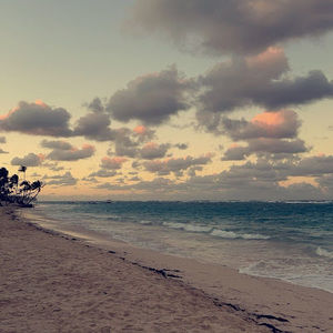 Meet your Posher, Riley